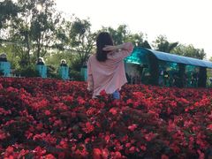 -广州花之恋城堡酒店