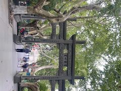 -杭州黄龙洞