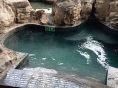 -青岛海泉湾度假区温泉