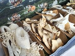 -芸山季·云南山珍菌火锅(南翔印象城MEGA店)