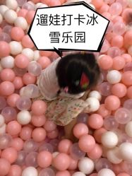 -Mr·Kuma酷么先生雪之乐园