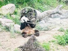 -宁波野生动物园