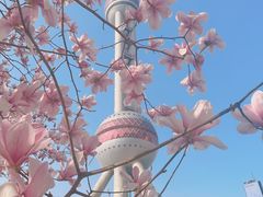 -东方明珠广播电视塔