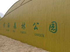 东门-黄海国家森林公园