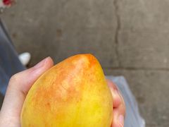 -大观篆新农贸市场