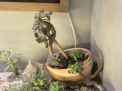 -街角等你.大连海鲜烧烤.经典铁板海鲜串(西安路店)