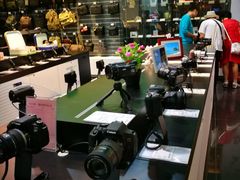 -顺电·脉(浦东嘉里城店)
