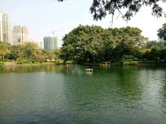 -晓港公园