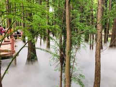 -东湖落雁景区