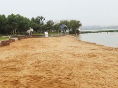-暨阳湖生态园