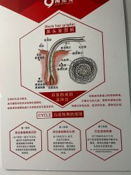 -黑奥秘脱发白发中心