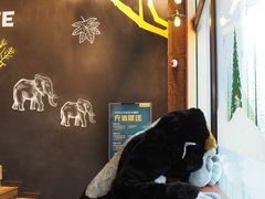 -ZOO COFFEE动物园咖啡(望京锐创店)