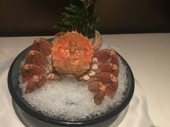 -御花园酒店(希尔顿店)