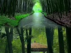 -同里国家湿地公园