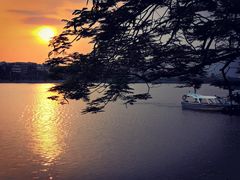 -星湖愉景酒家