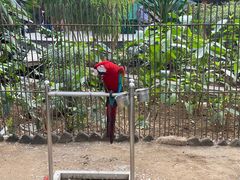 -南宫五洲植物乐园