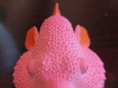 -永安鱼庄·镇江菜(东吴路店)