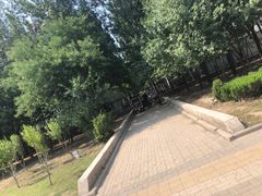 -金春禧(世茂国际广场店)