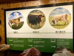 -君乐宝优致牧场