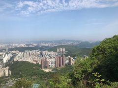 -梧桐山风景名胜区