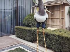 -春晖园度假酒店温泉