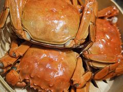 -赤甲皇(仙霞路店)