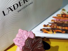 -Laderach 莱德拉(上海环贸iapm店)