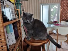 -Rabbit Cafe私房西餐甜点咖啡(栖霞路店)