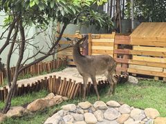 -正佳雨林生态植物园