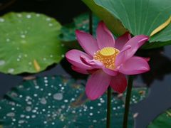 -龙口南山旅游景区