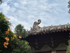 -洛阳白马寺