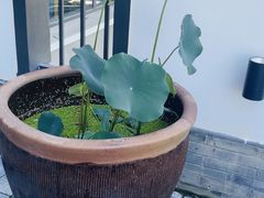 -瓦舍茶馆(聚源路店)