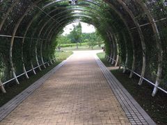 -同里国家湿地公园