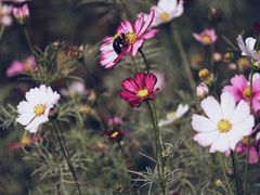 -南京中医药大学(仙林校区)