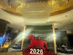 -上海闵行星河湾酒店