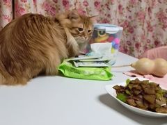 -天宠宠物医院24小时·急重症诊疗中心·全科·腔镜特色(和平分院)