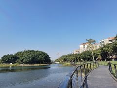 -映月湖公园