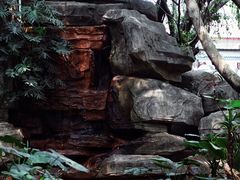 -深圳龙潭公园