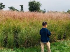 -汉长安城未央宫国家考古遗址公园