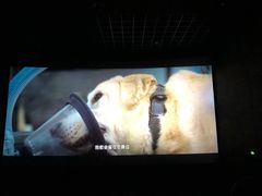 -CGV影城(新都心IMAX店)
