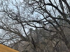 -终南山南五台景区