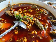 黄辣丁-青城甲(青城山店)