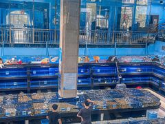 -小海豚·老字号海鲜餐厅(三亚湾店)