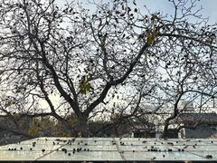 -EATALIA意塔利意式餐厅(鼓楼店)