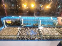 -港畔赶海蒸汽海鲜烧烤自助(仙螺岛店)