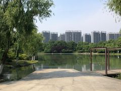 -天鹅湖体育公园