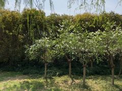 -郑州植物园