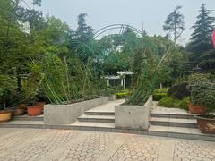 -南山植物园