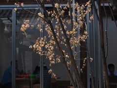 -VOYAGE COFFEE(杨梅竹店)