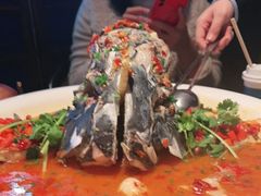 -坛宗剁椒鱼头(河西王府井店)